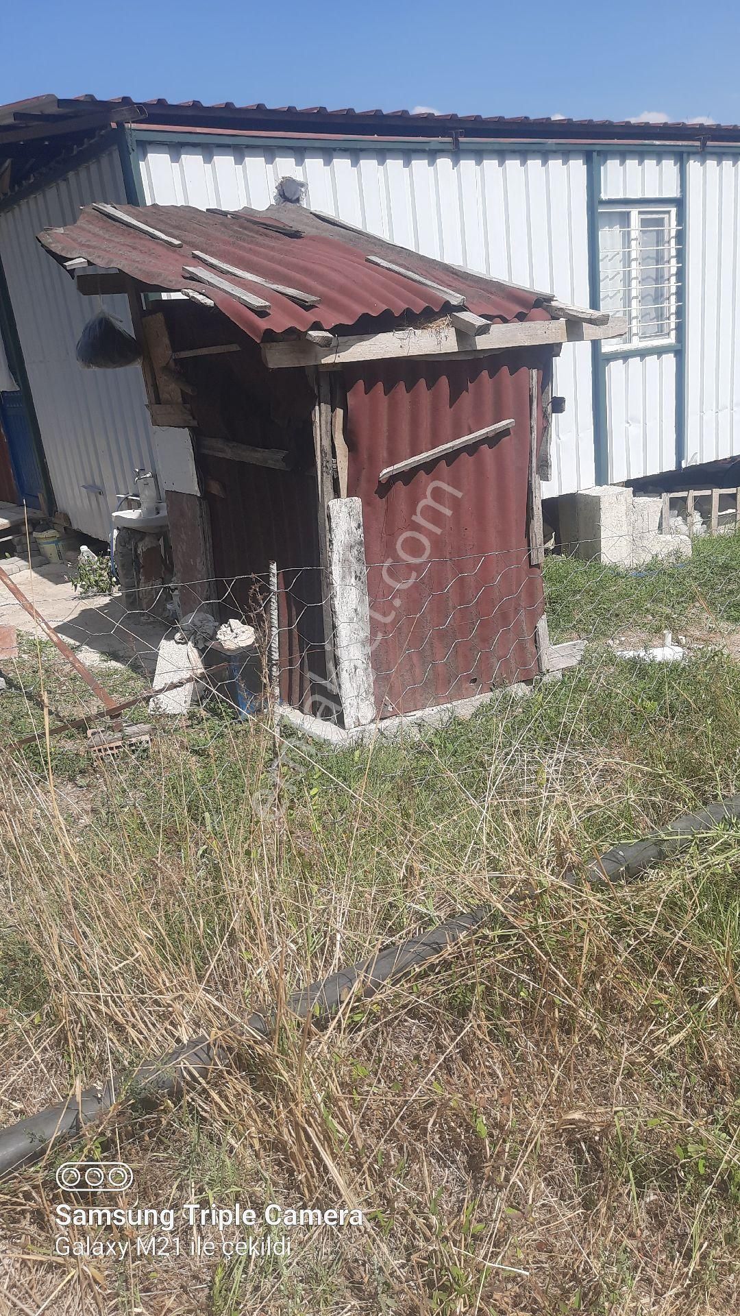 İbecik Yaylasında Kupon Yer - Görsel 24