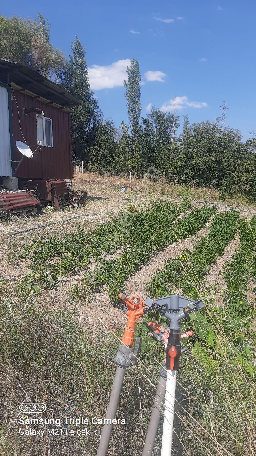 İbecik Yaylasında Kupon Yer - Görsel 22