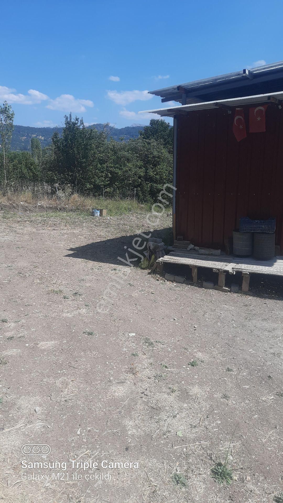 İbecik Yaylasında Kupon Yer - Görsel 17