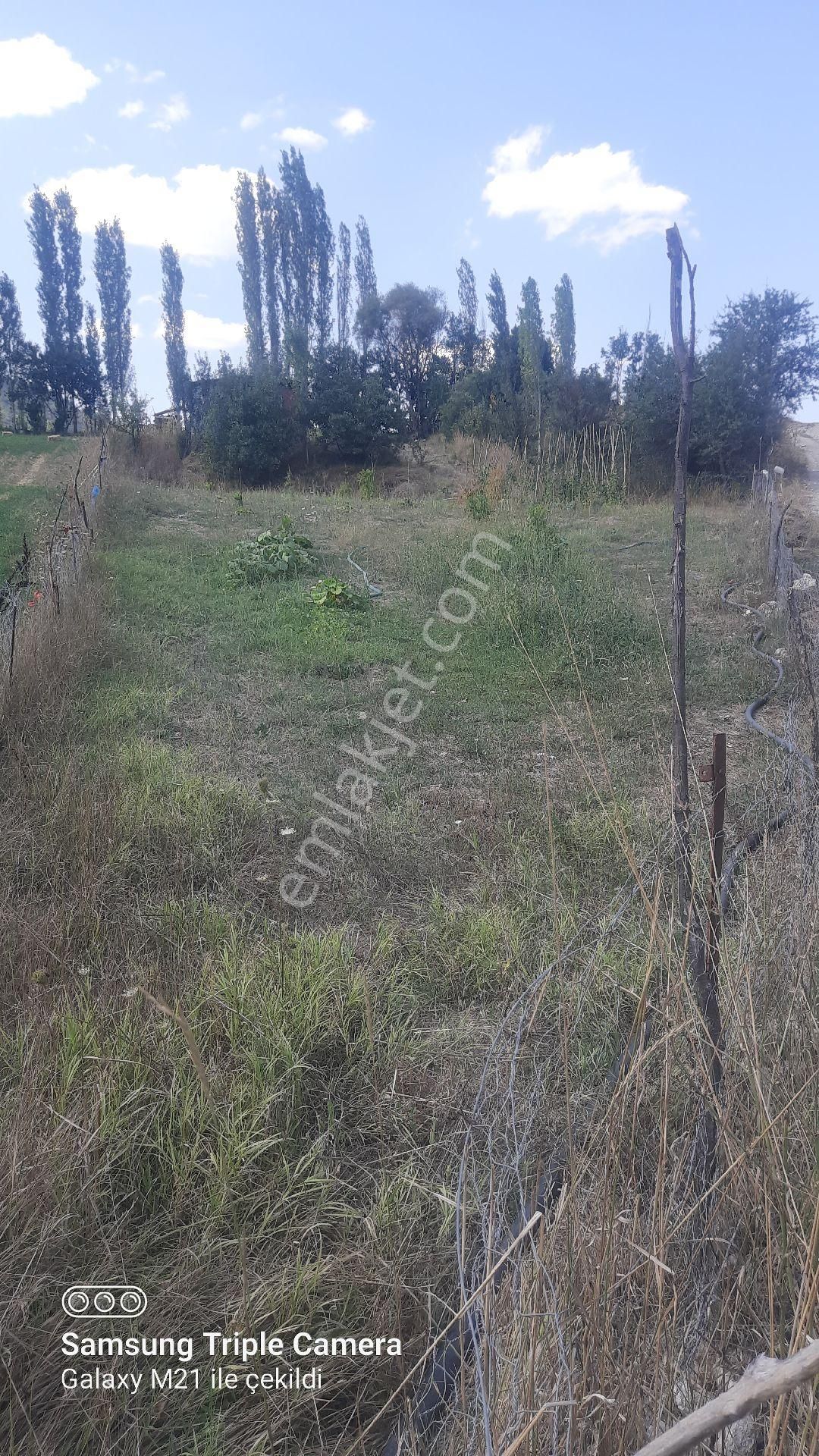 İbecik Yaylasında Kupon Yer - Görsel 10