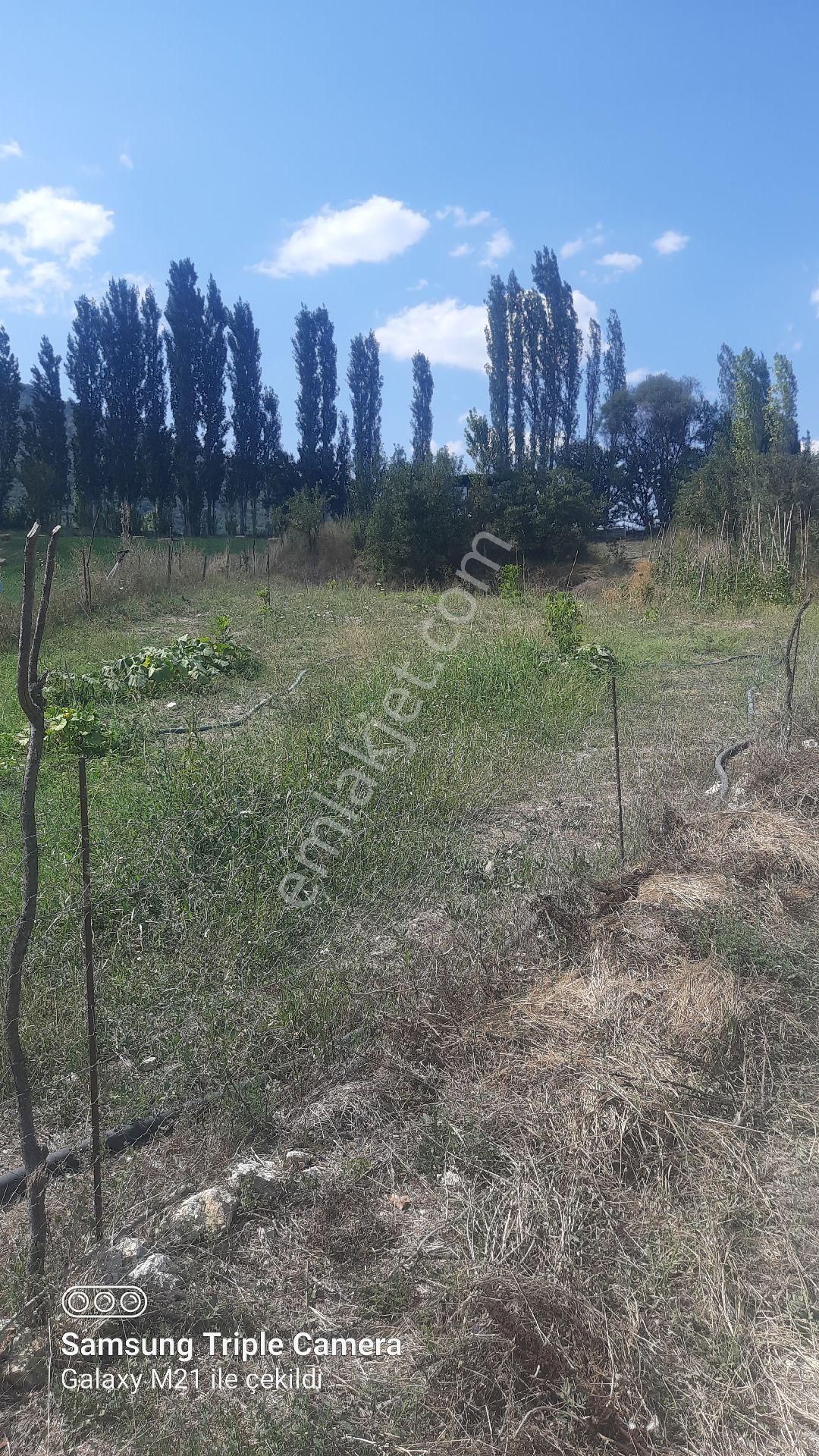 İbecik Yaylasında Kupon Yer - Görsel 14