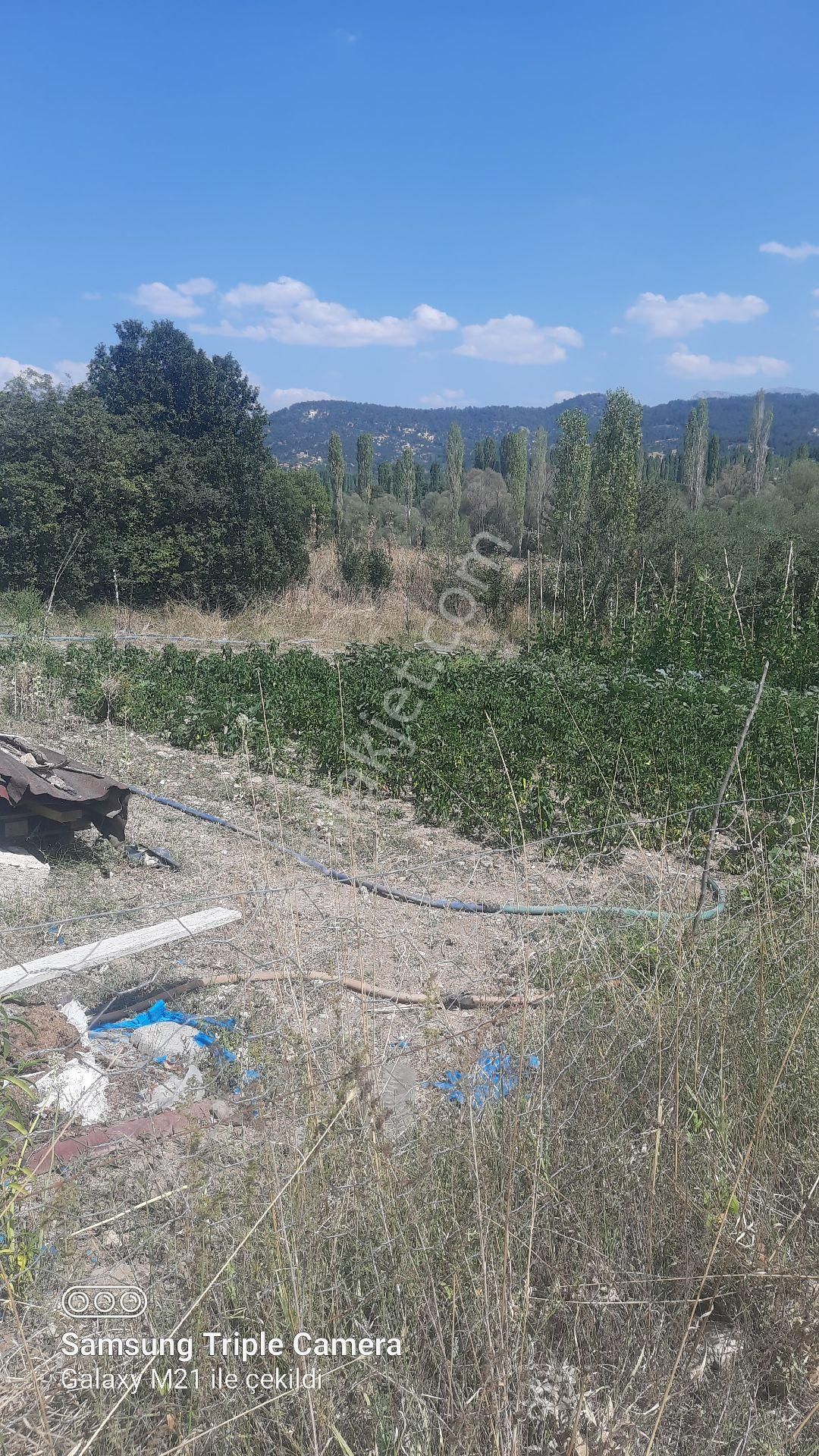 İbecik Yaylasında Kupon Yer - Görsel 25