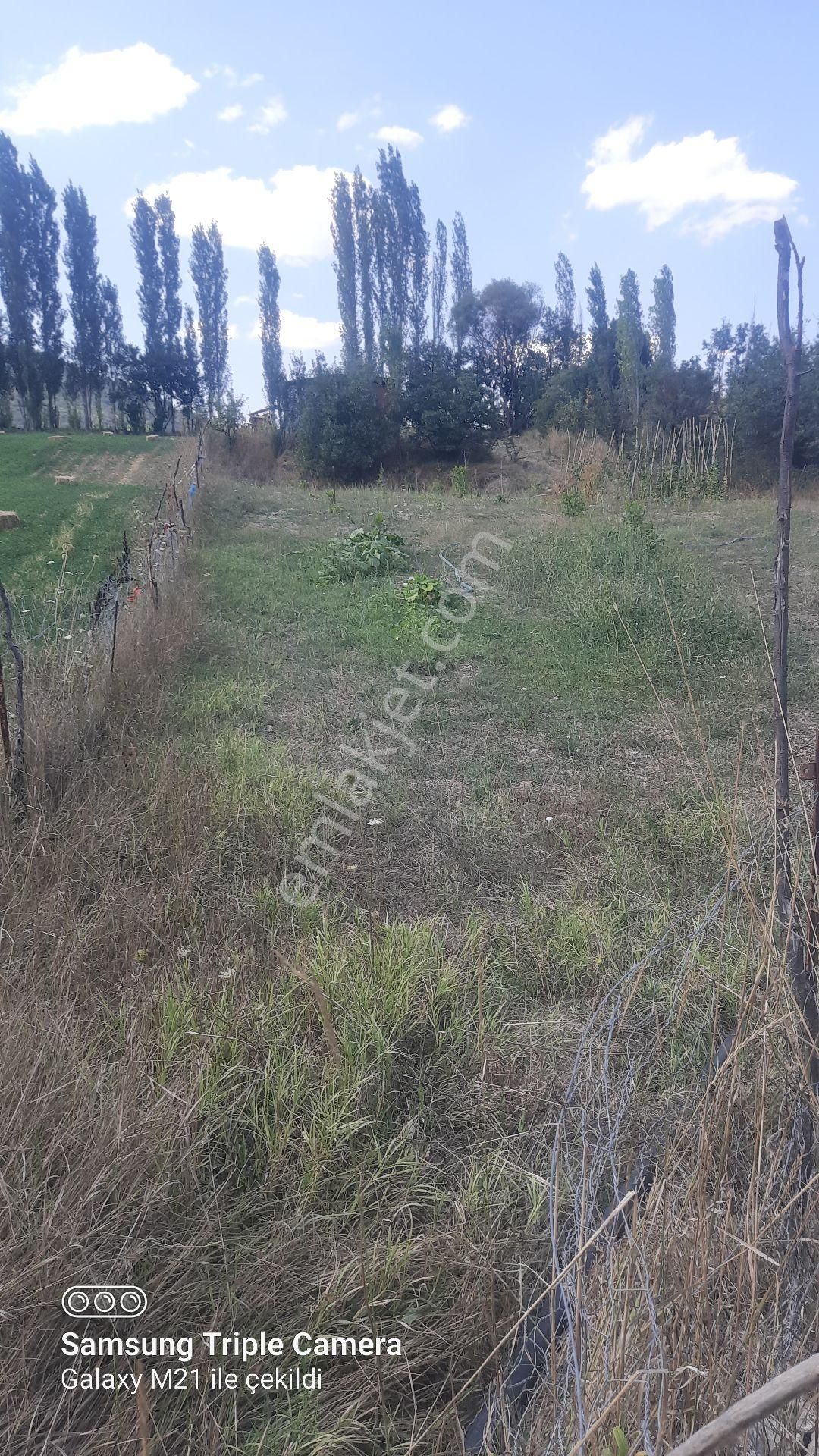 İbecik Yaylasında Kupon Yer - Görsel 9