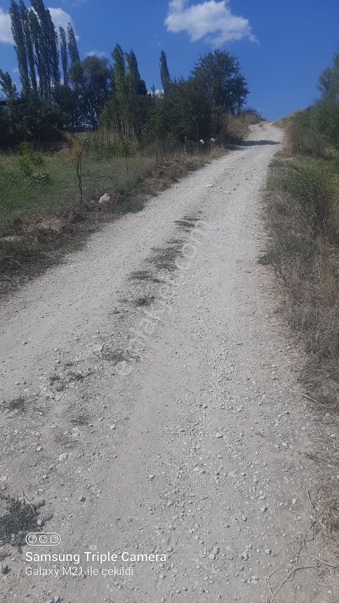 İbecik Yaylasında Kupon Yer - Görsel 16