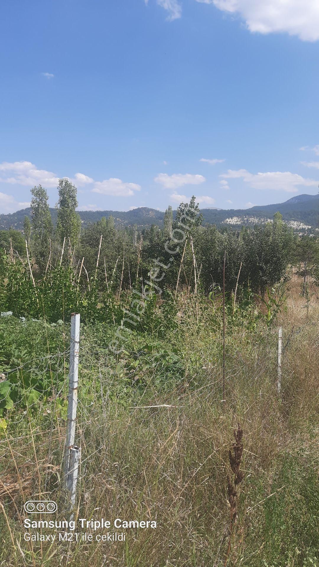 İbecik Yaylasında Kupon Yer - Görsel 18