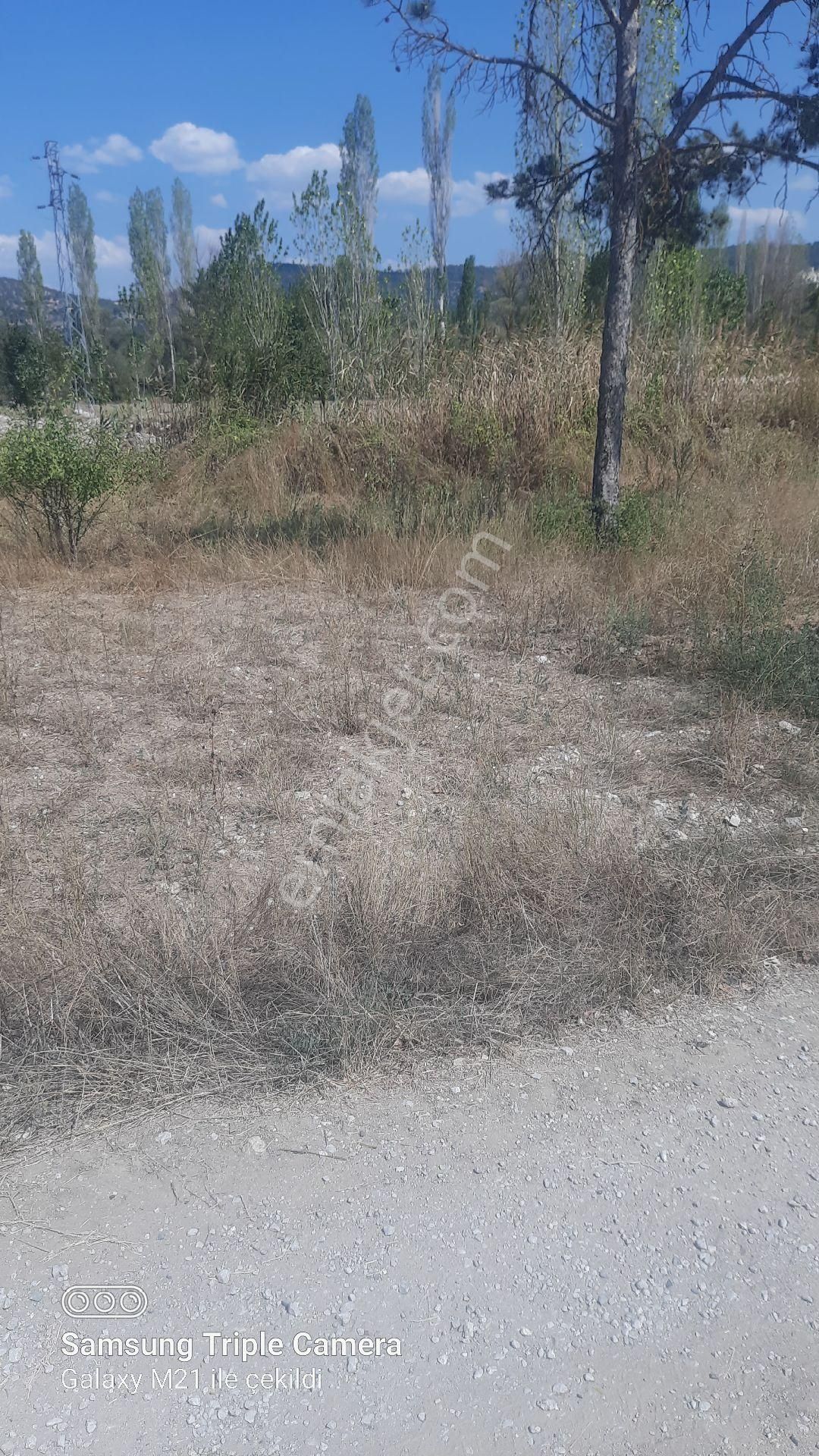 İbecik Yaylasında Kupon Yer - Görsel 15