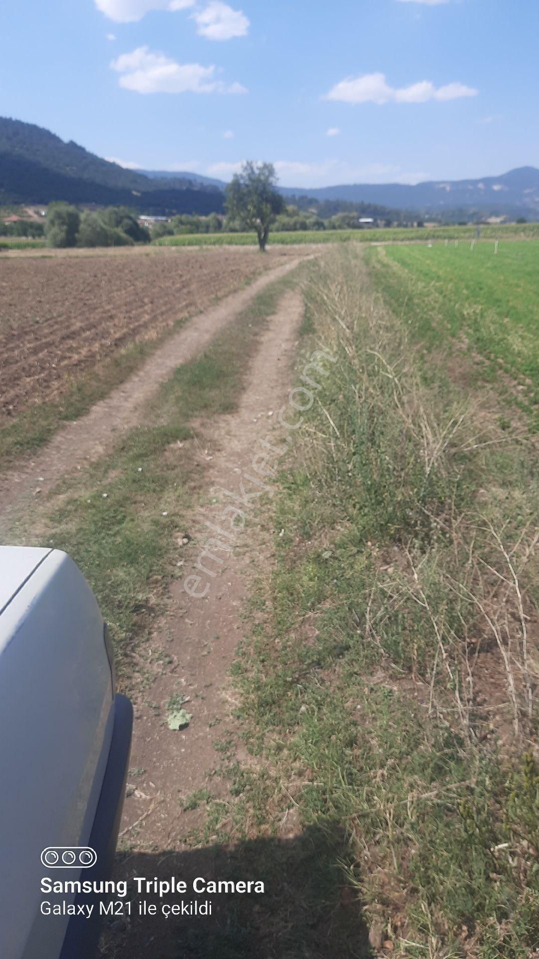 İbecik Yaylasında Kupon Yer - Görsel 12