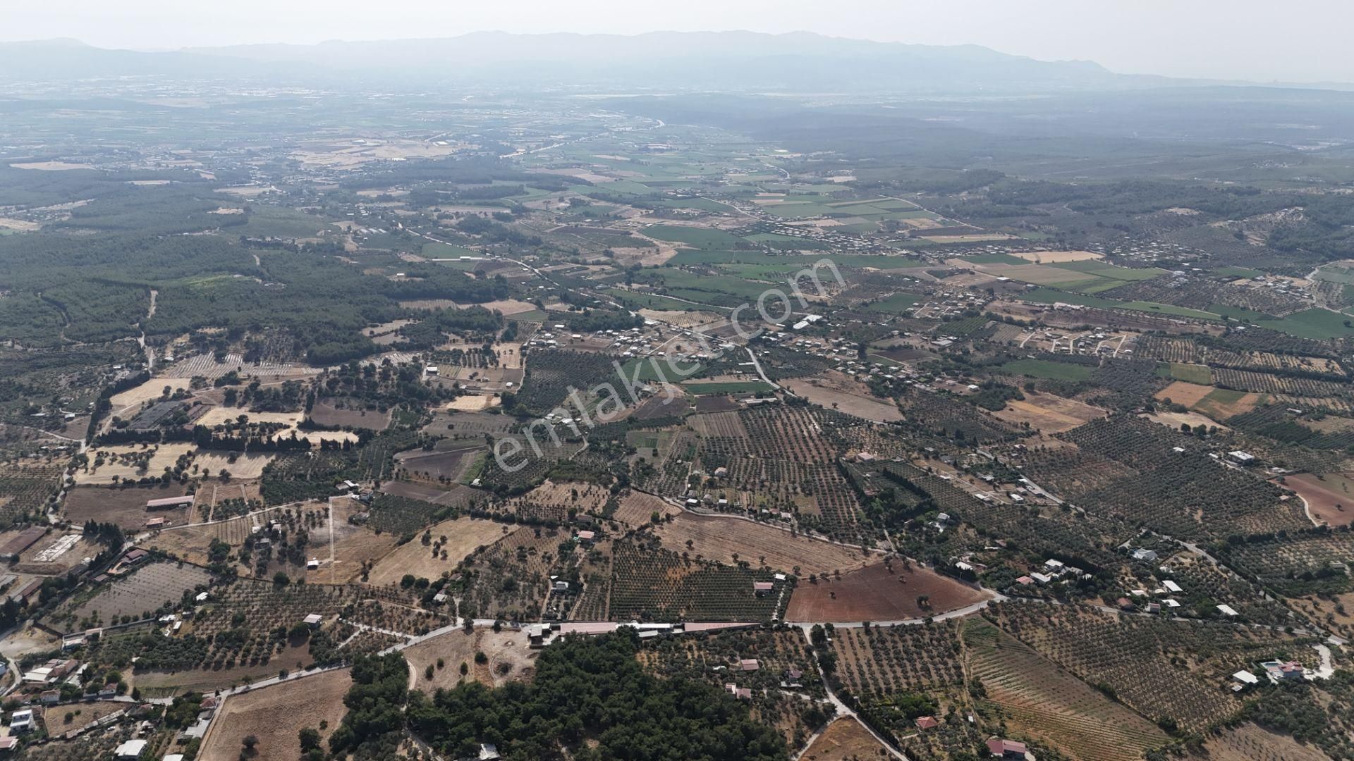 Torbalı Yoğurtçular'da 6040 M2 Satılık Zeytinlik - Görsel 8