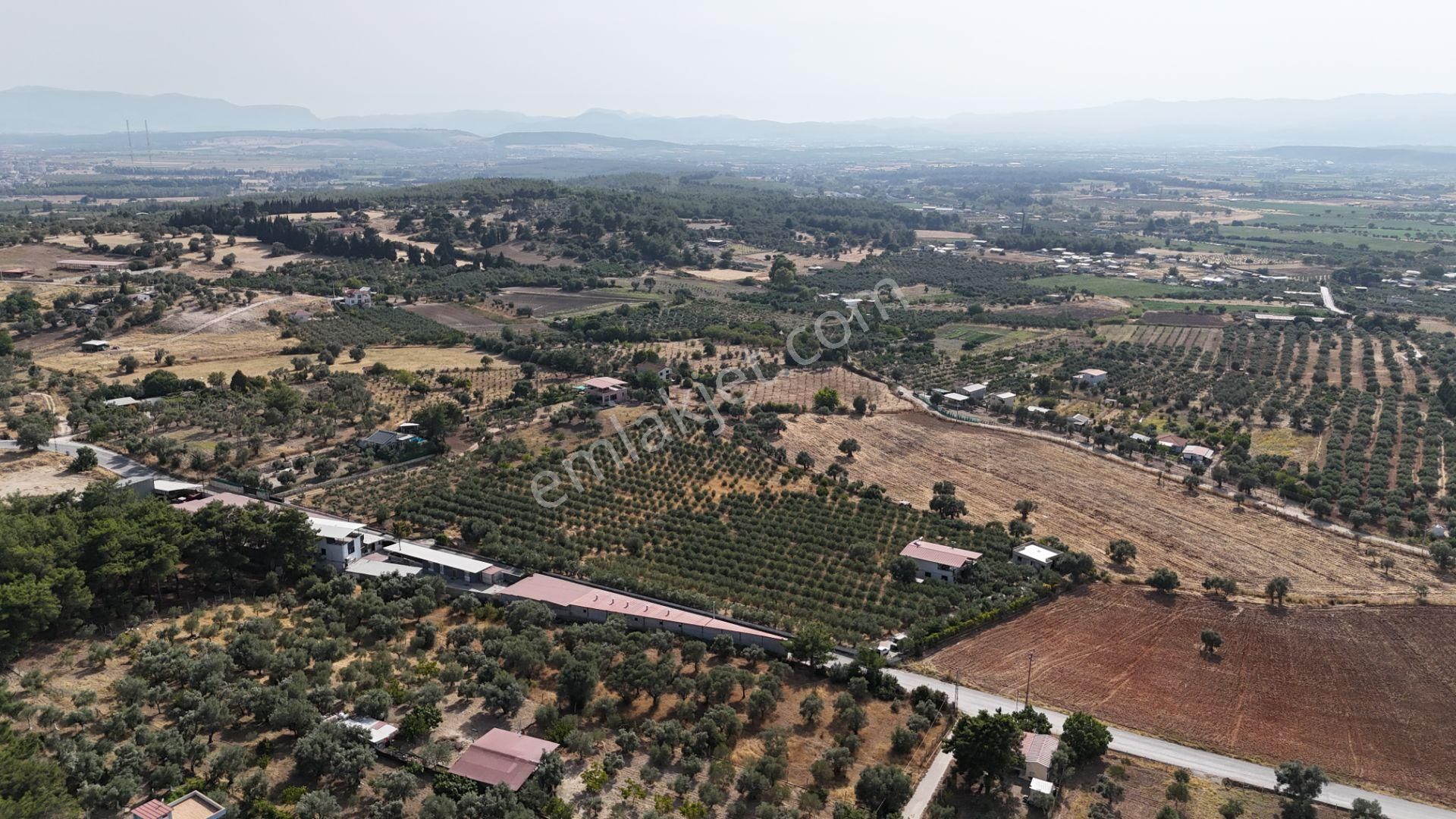 Torbalı Yoğurtçular'da 6040 M2 Satılık Zeytinlik - Görsel 13