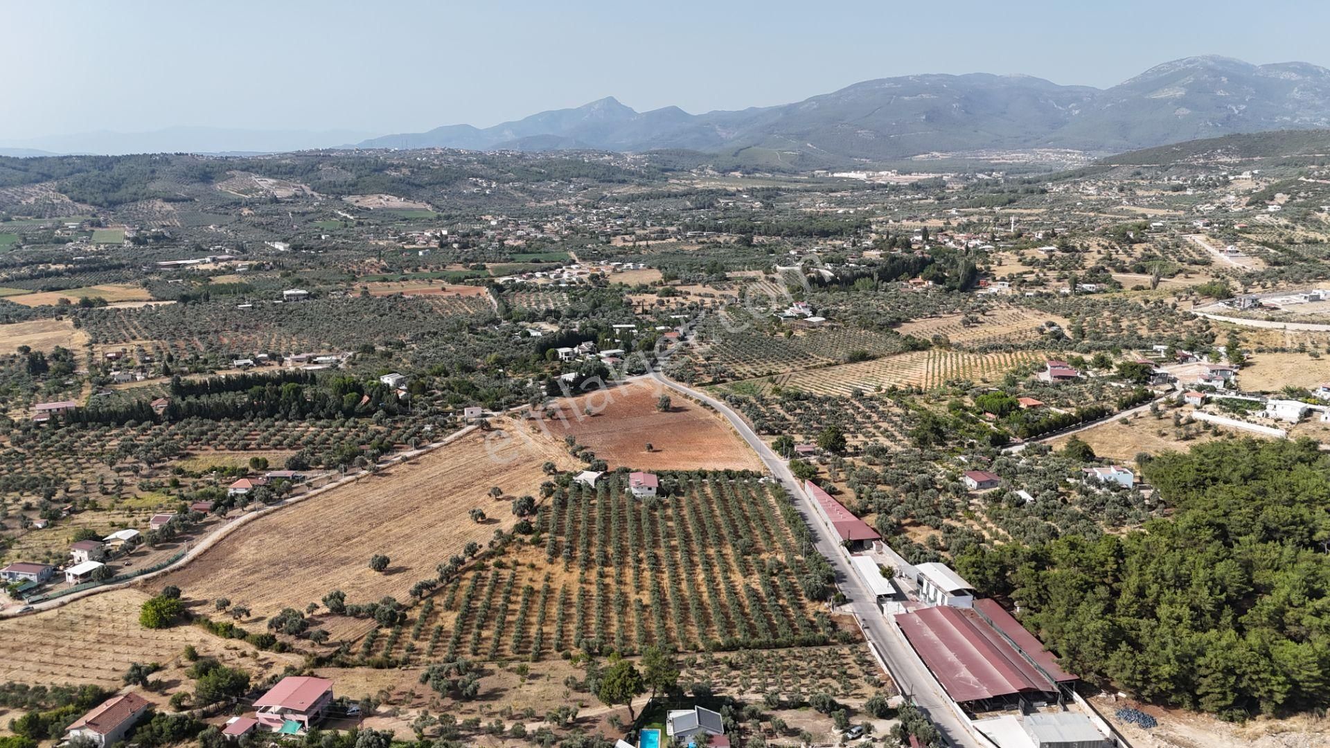 Torbalı Yoğurtçular'da 6040 M2 Satılık Zeytinlik - Görsel 10