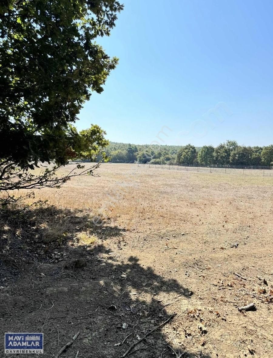 Nilüfer Unçukurun'da 1644 M2 Bahçe Yapımına Müsait Tarla - Görsel 3