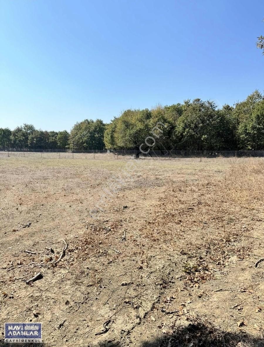 Nilüfer Unçukurun'da 1644 M2 Bahçe Yapımına Müsait Tarla - Görsel 2