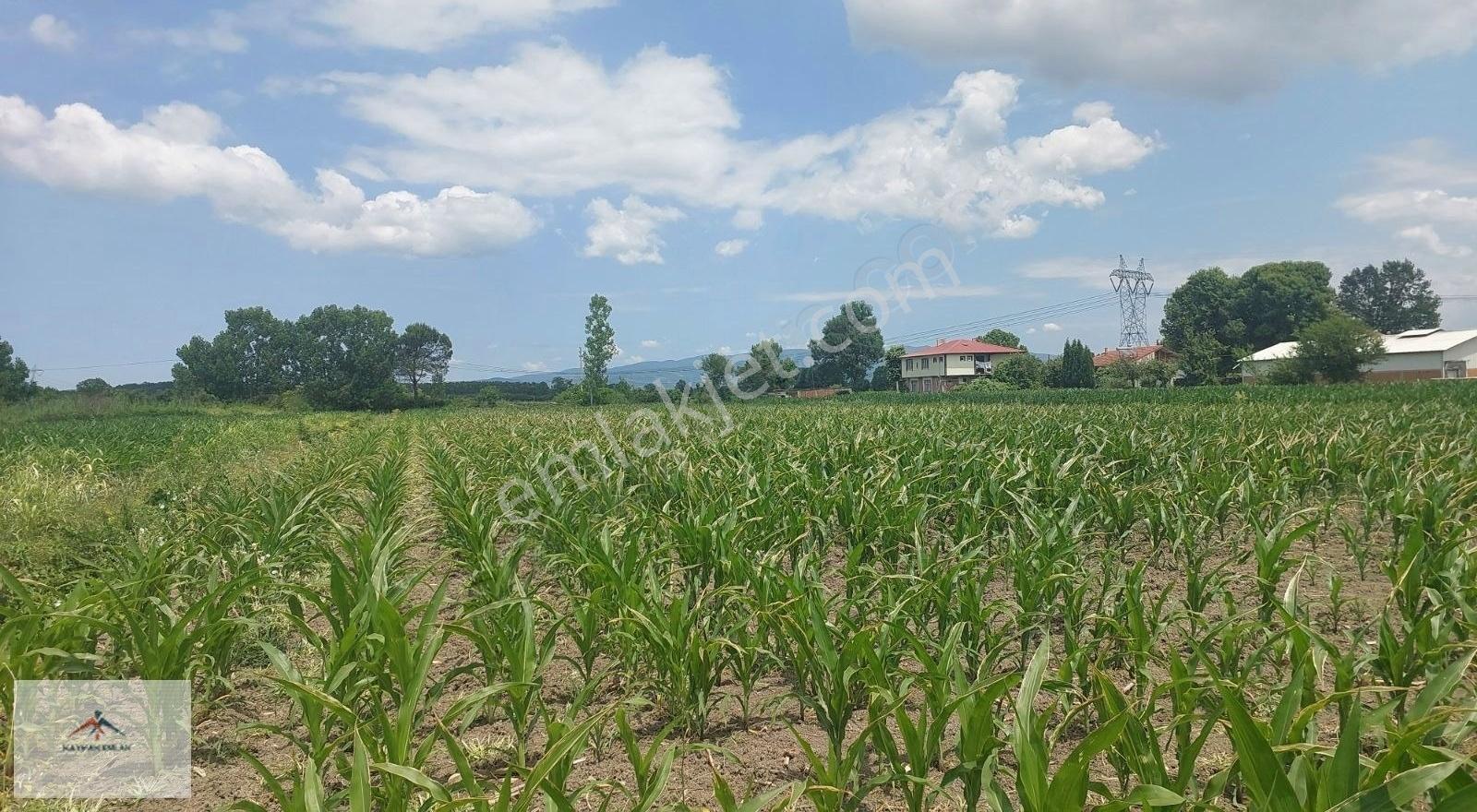 Kaymak Emlaktan Anayol Üzeri Köy Merkezine Yakın Satılık Arazi - Görsel 31