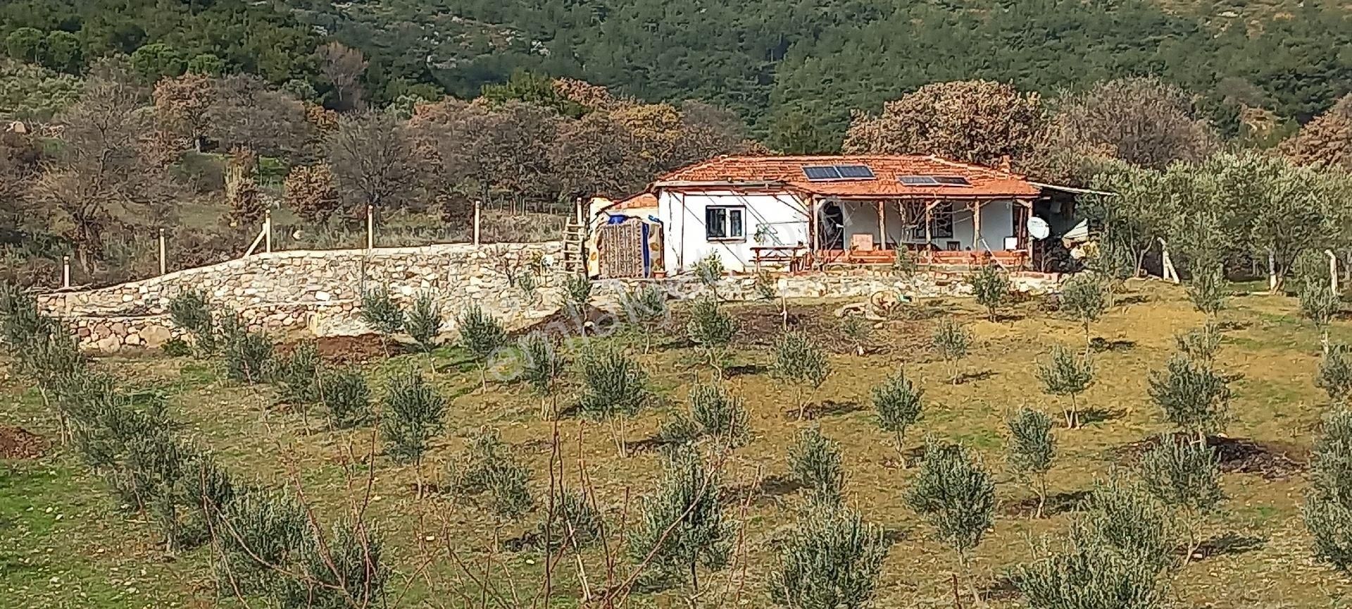 Satılık Müstakiltapu - Görsel 25
