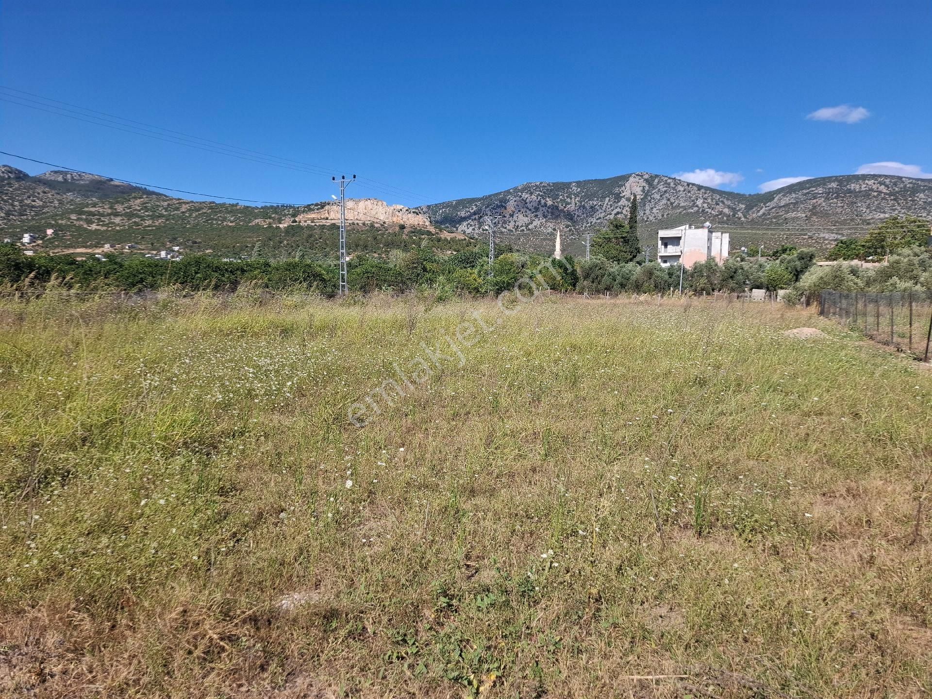 Satılık Arsa Kozan Tavşan Tepe Memi Yolu Üzeri 521m Kare 1735