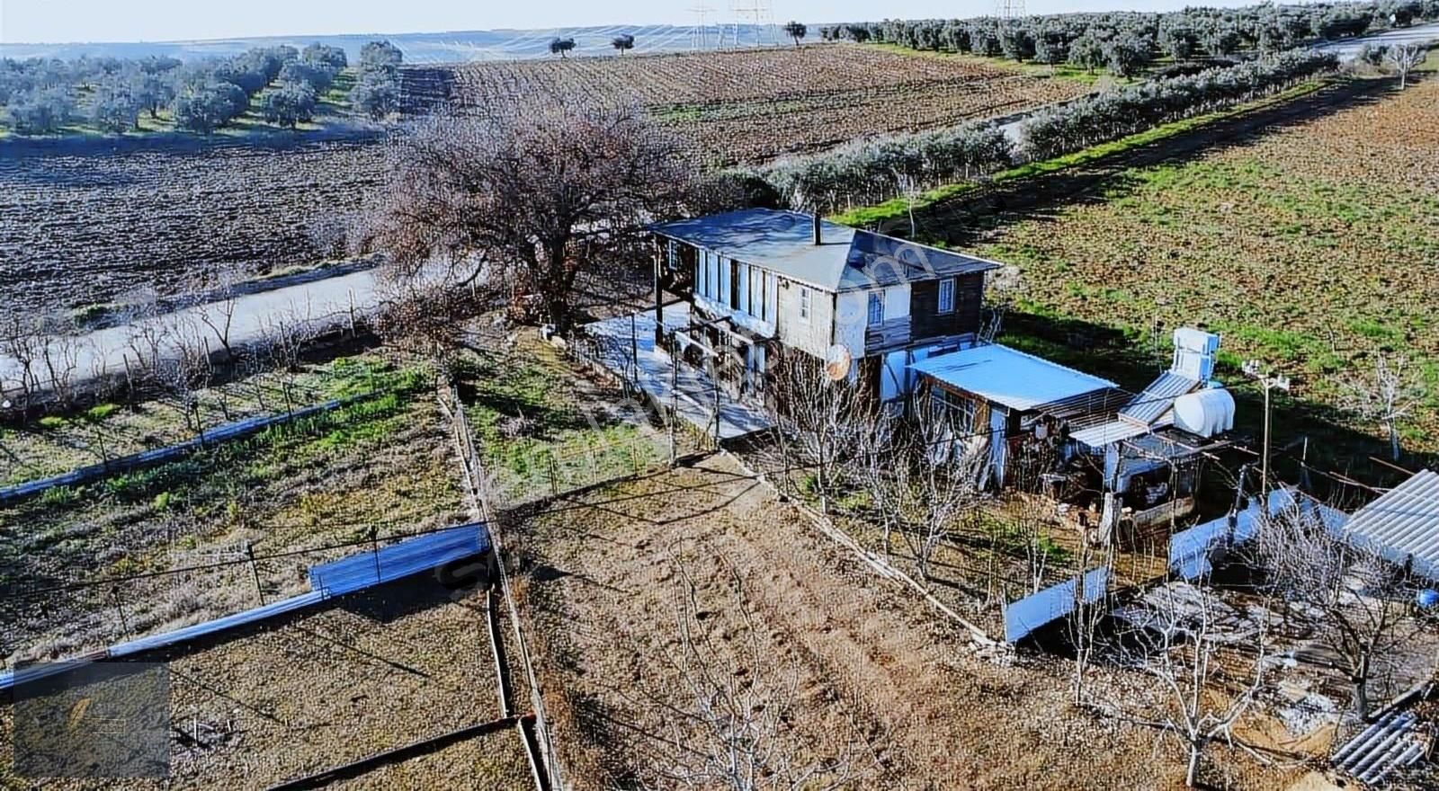 Ne İstersen Var - Görsel 12