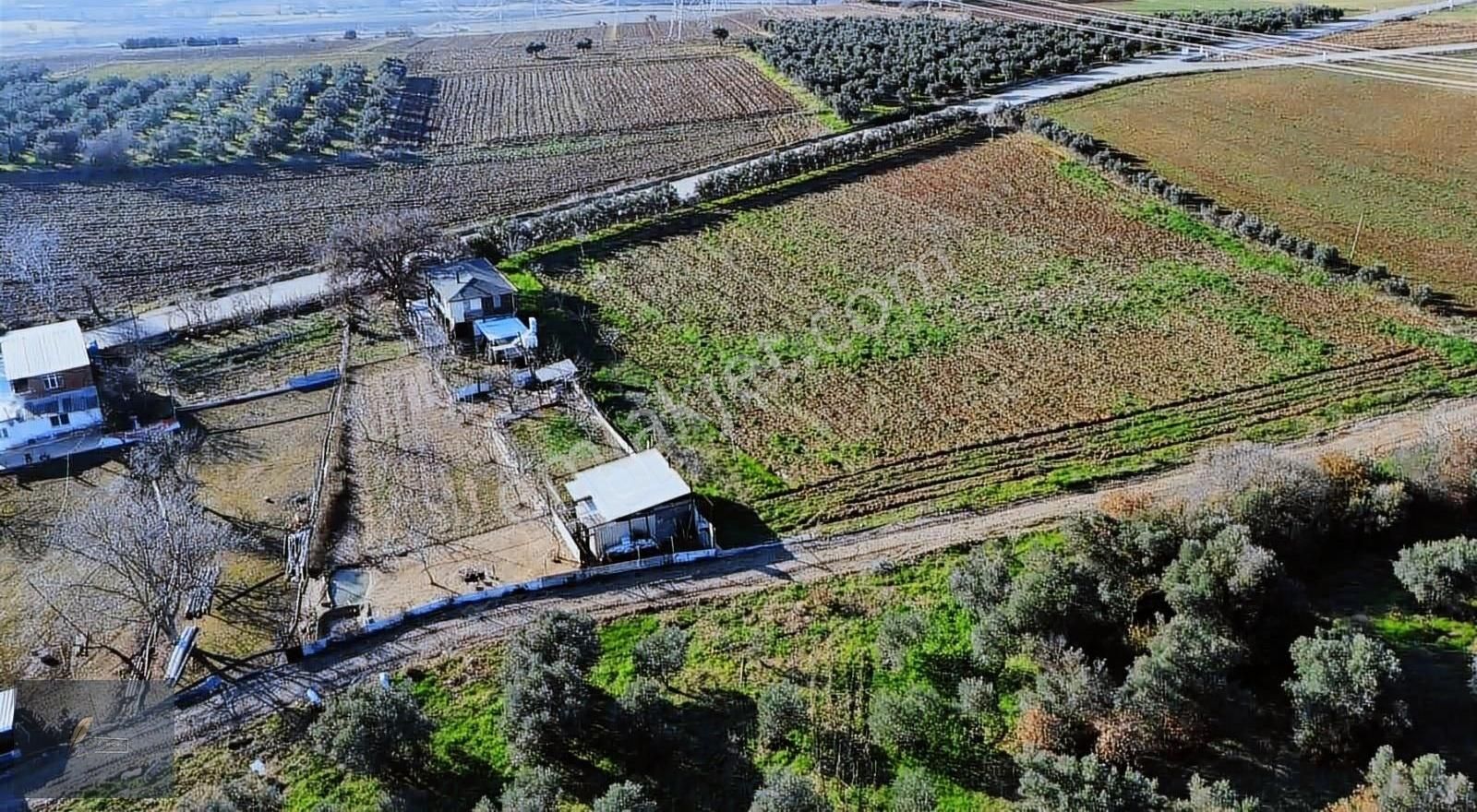 Ne İstersen Var - Görsel 10