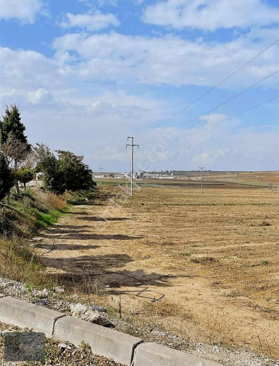 Çanakkale Asfaltına Cephe - Görsel 7