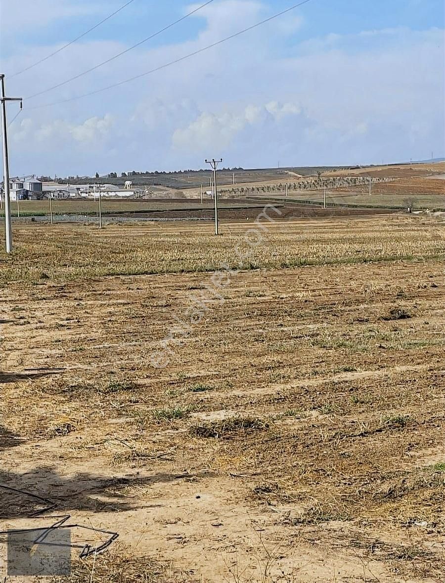 Çanakkale Asfaltına Cephe - Görsel 11