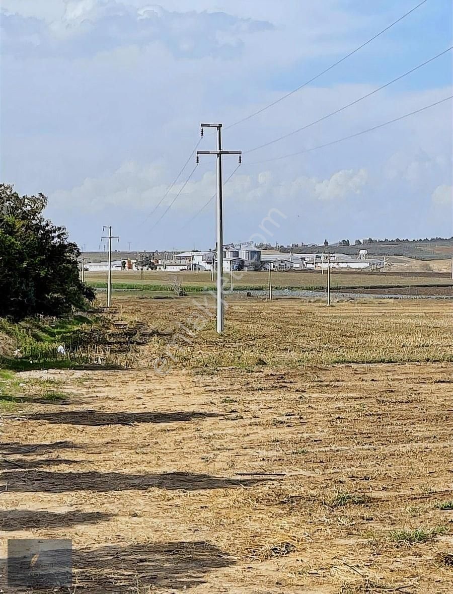 Çanakkale Asfaltına Cephe - Görsel 2