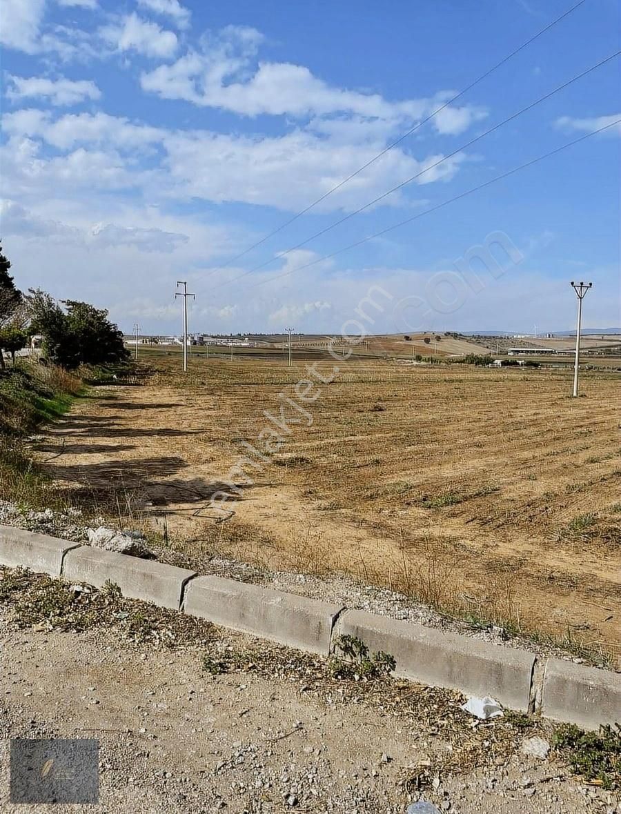 Çanakkale Asfaltına Cephe - Görsel 4