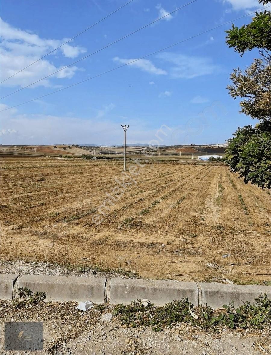 Çanakkale Asfaltına Cephe - Görsel 10