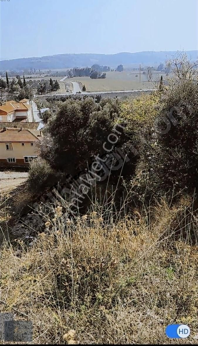 Satılık 760 M2 Arsa(bölgenin En Ucuzu) - Görsel 14