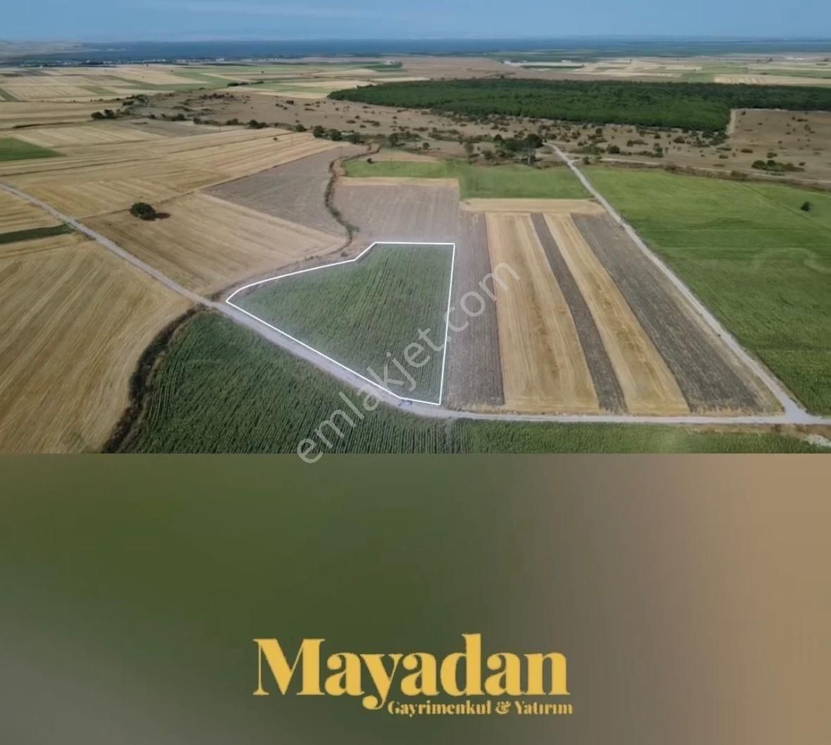 Mayadan Gayrimenkul'den Gönen Bayramiç'de 12 Dönüm Satılık Tarla