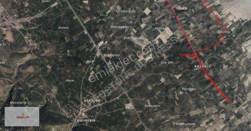 Sultandağı Dereçine'de Meyve Bahçesi - Görsel 2