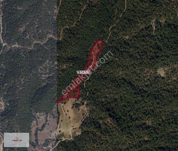 Aksu Kayadibi'nde Yatırımlık 19.578 M² Geniş Tapulu Arsa!