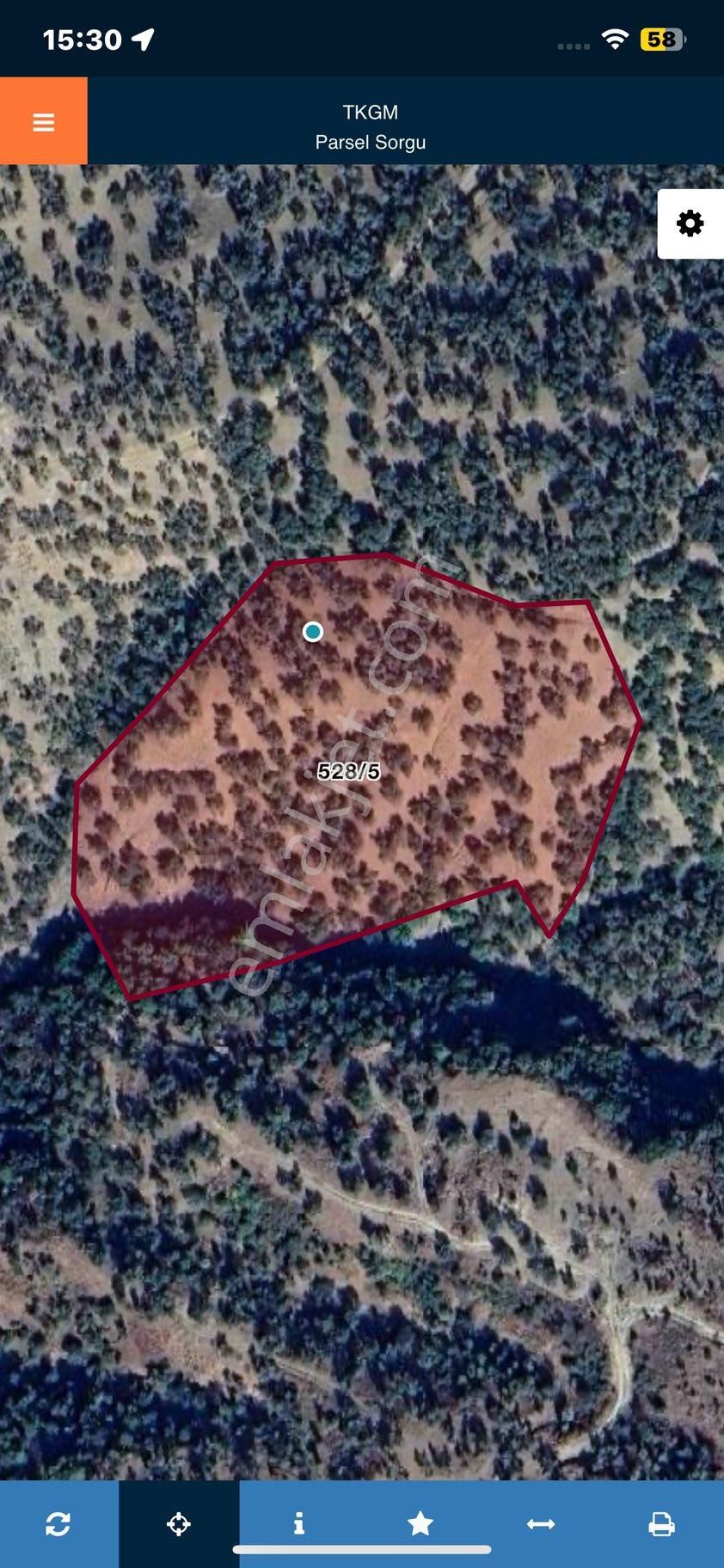 Kücükkuyu Adatepe Mevki Kelepir Zeytinlık - Görsel 15