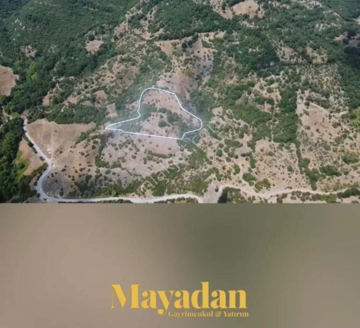 Mayadan Gayrimenkul'den Gönen Yörükkeçidere Köyü'nde 12250 M2 Satılık Tarla