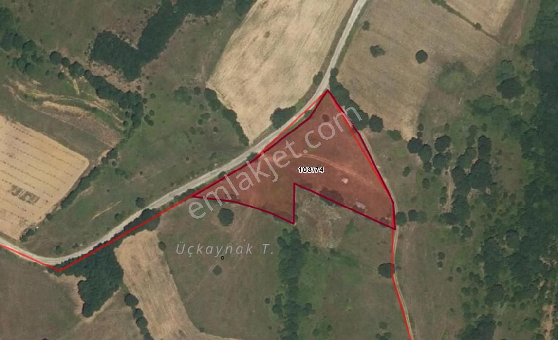 Yatırıma Uygun Geniş Arazi! – Bursa İnegöl Babaoğlu’nda 6.483 M² Tarlanız Hazır - Görsel 4