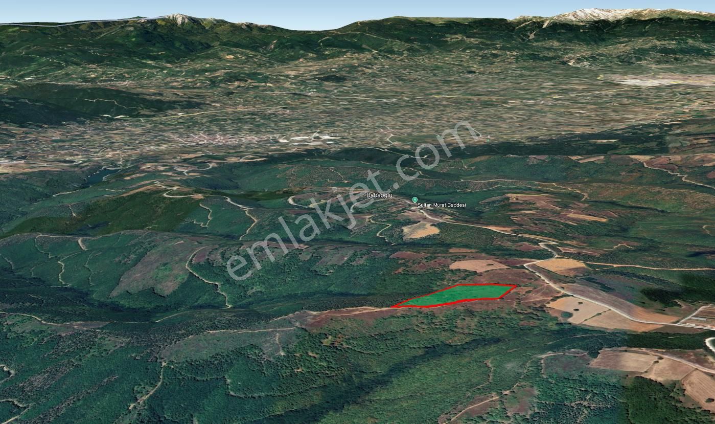 İnegöl Babaoğlu’nda 19.787 M² Yola Cepheli Geniş Tarla – Yatırıma Uygun - Görsel 2