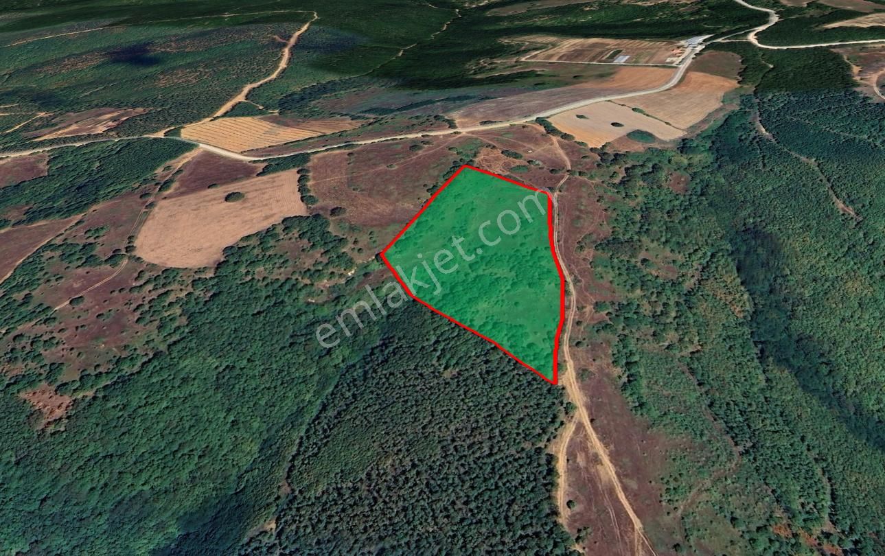 İnegöl Babaoğlu’nda 19.787 M² Yola Cepheli Geniş Tarla – Yatırıma Uygun - Görsel 3
