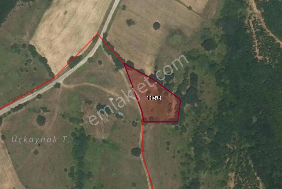 İnegöl Karabasanlar’da 2.682 M² Tarla – Yatırımlık Ve Tarıma Uygun