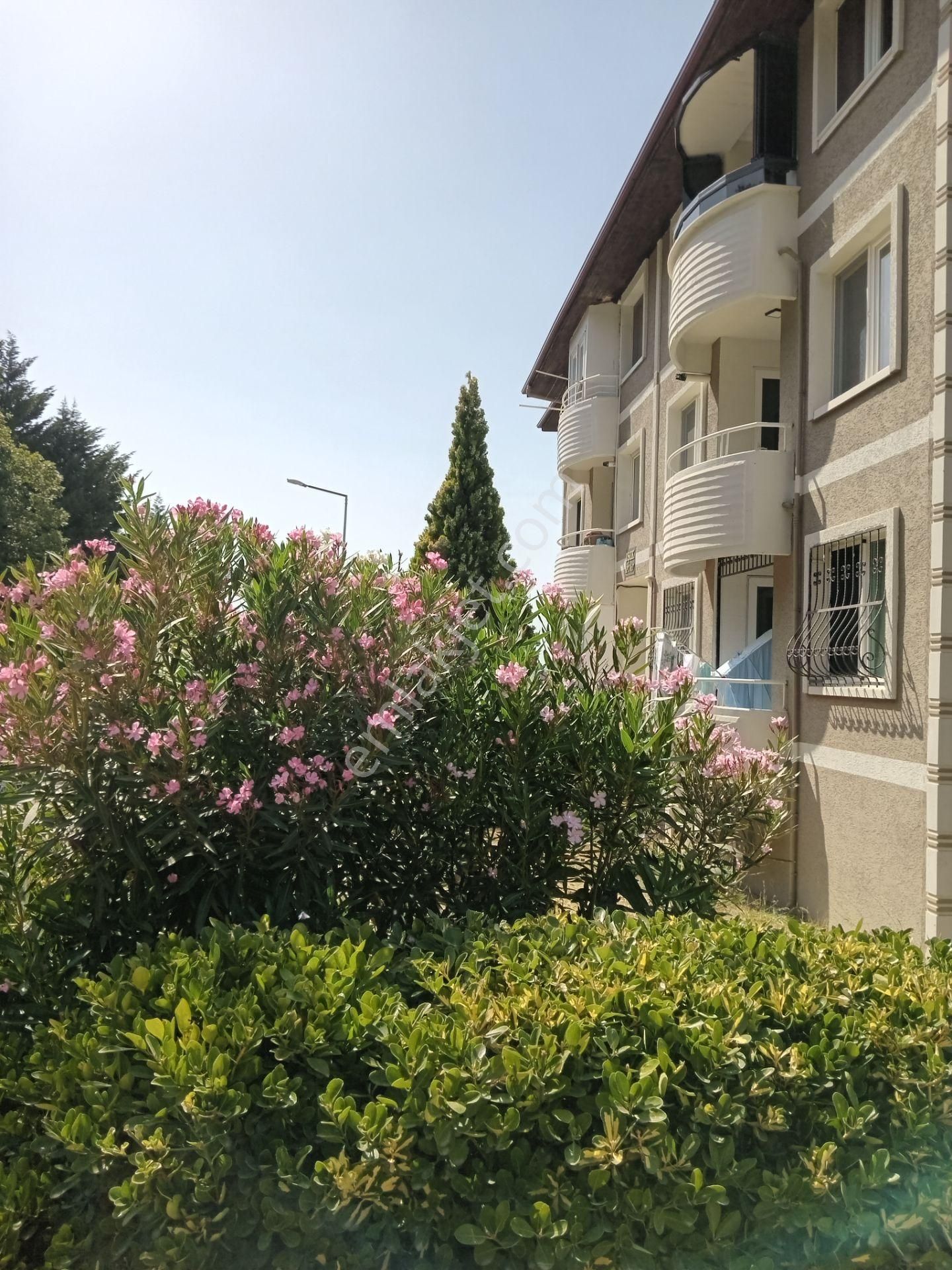 Altınova Subaşı Masrafsız 3+1 Daire - Görsel 3