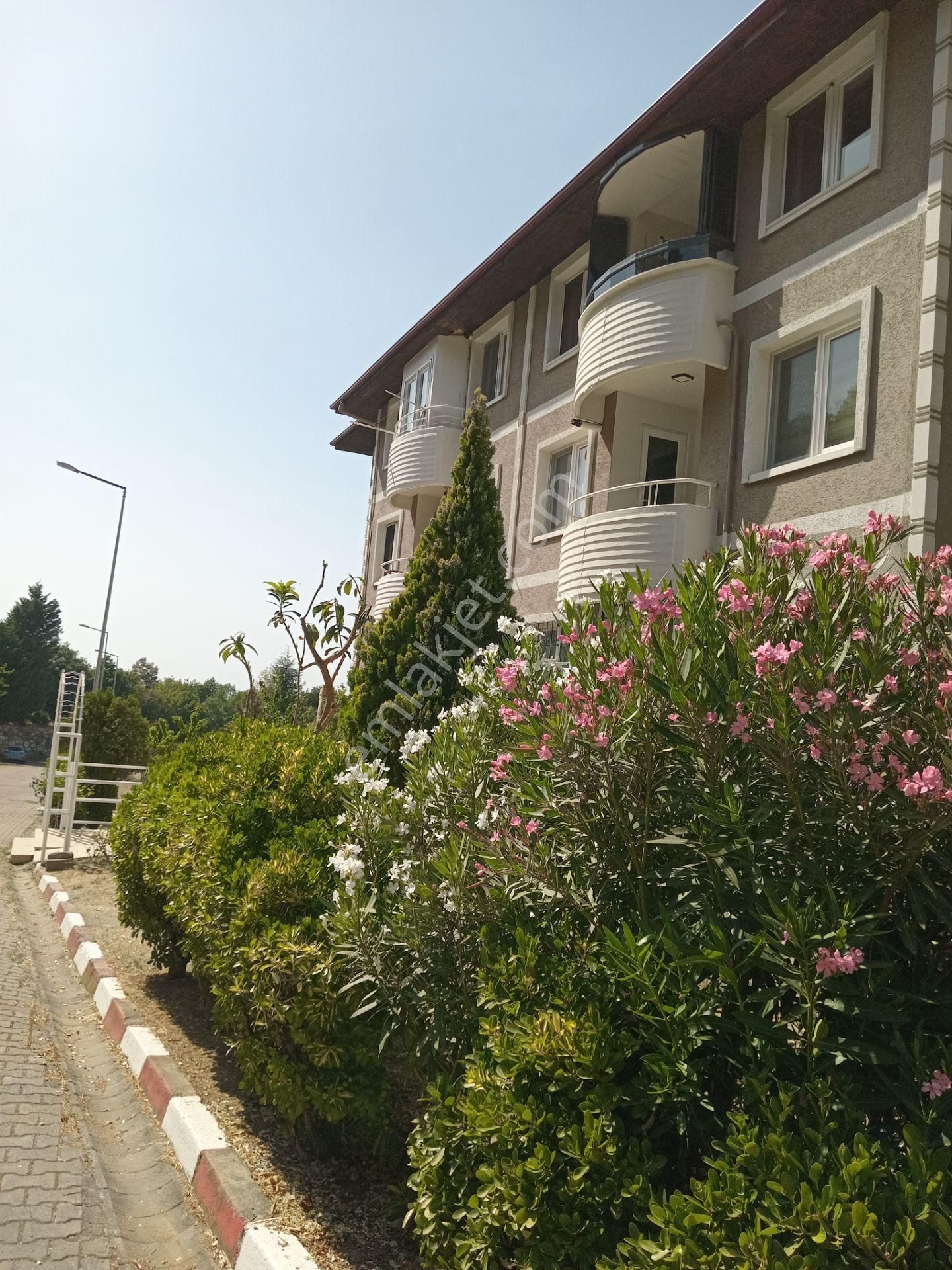 Altınova Subaşı Masrafsız 3+1 Daire - Görsel 4
