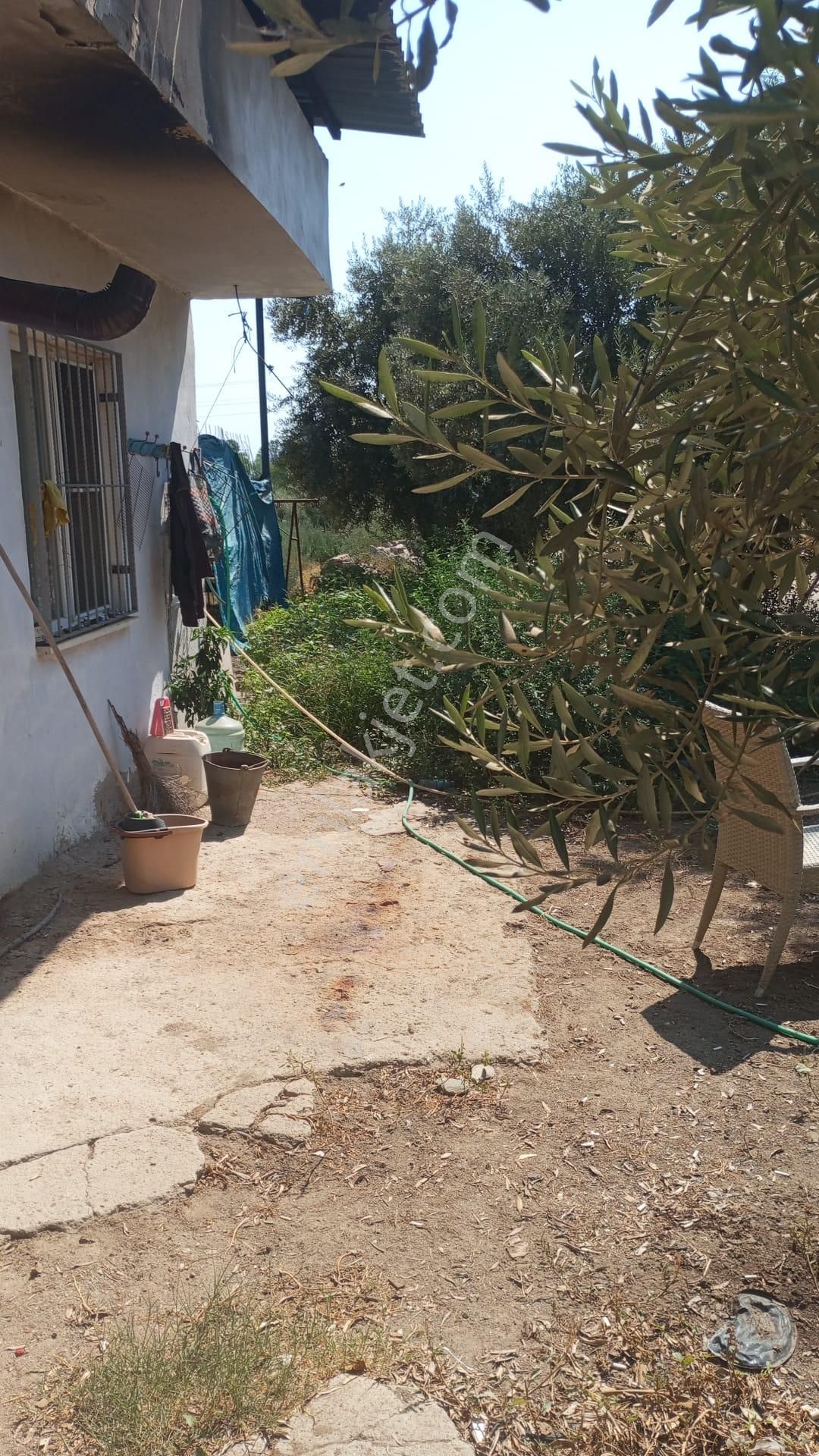 Aydın Nazilli Yöntem Emlaktan Yenipazar Donduran Mahallesinde Satılık Çiftlik Evi Ve Bahçe - Görsel 5