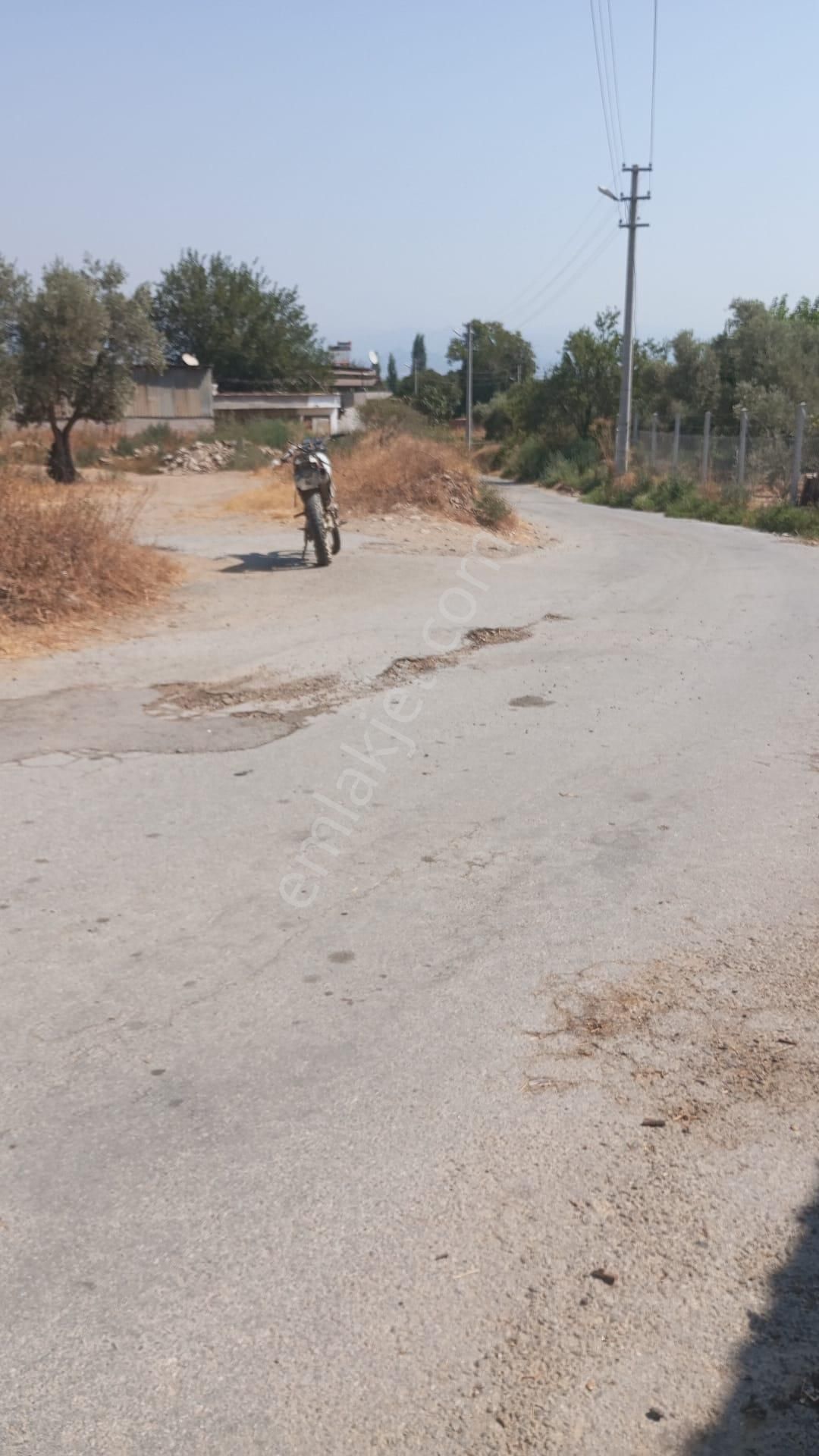 Aydın Nazilli Yöntem Emlaktan Yenipazar Donduran Mahallesinde Satılık Çiftlik Evi Ve Bahçe - Görsel 9