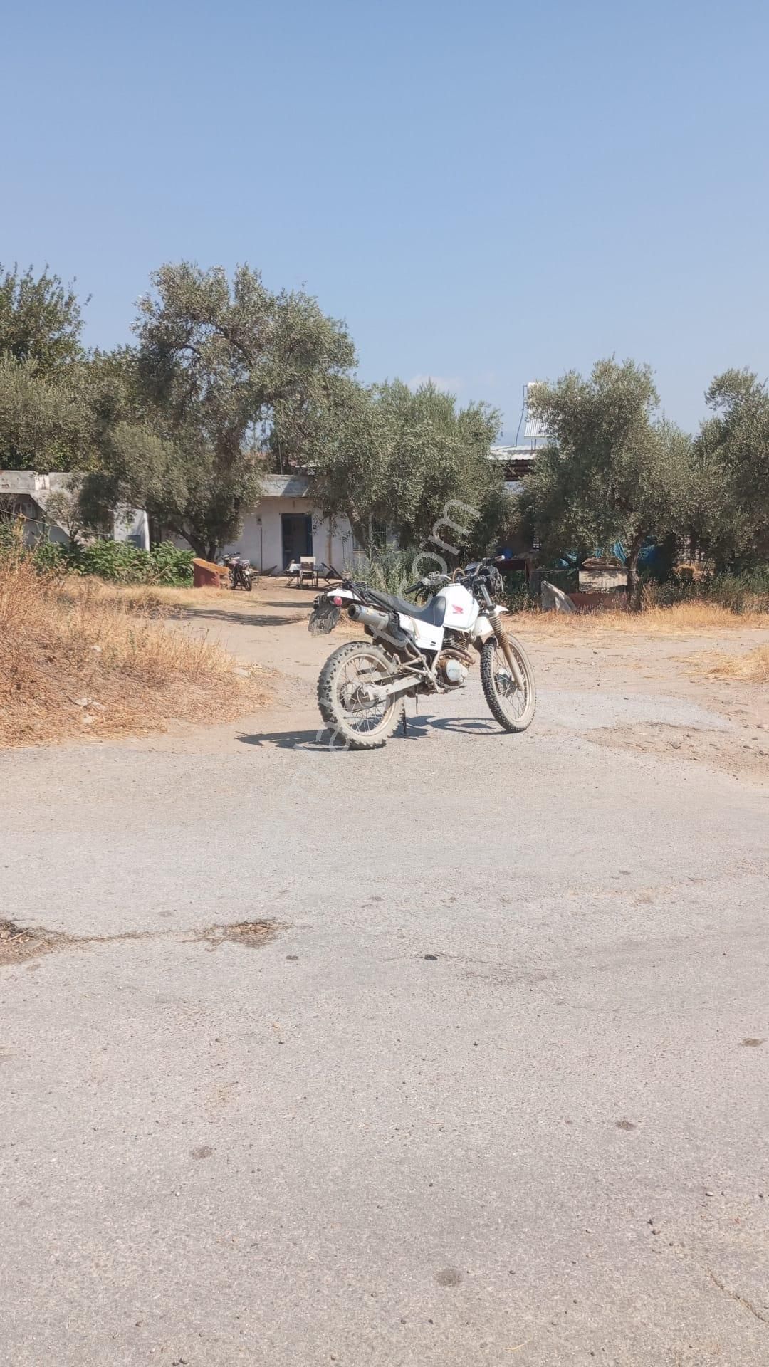 Aydın Nazilli Yöntem Emlaktan Yenipazar Donduran Mahallesinde Satılık Çiftlik Evi Ve Bahçe