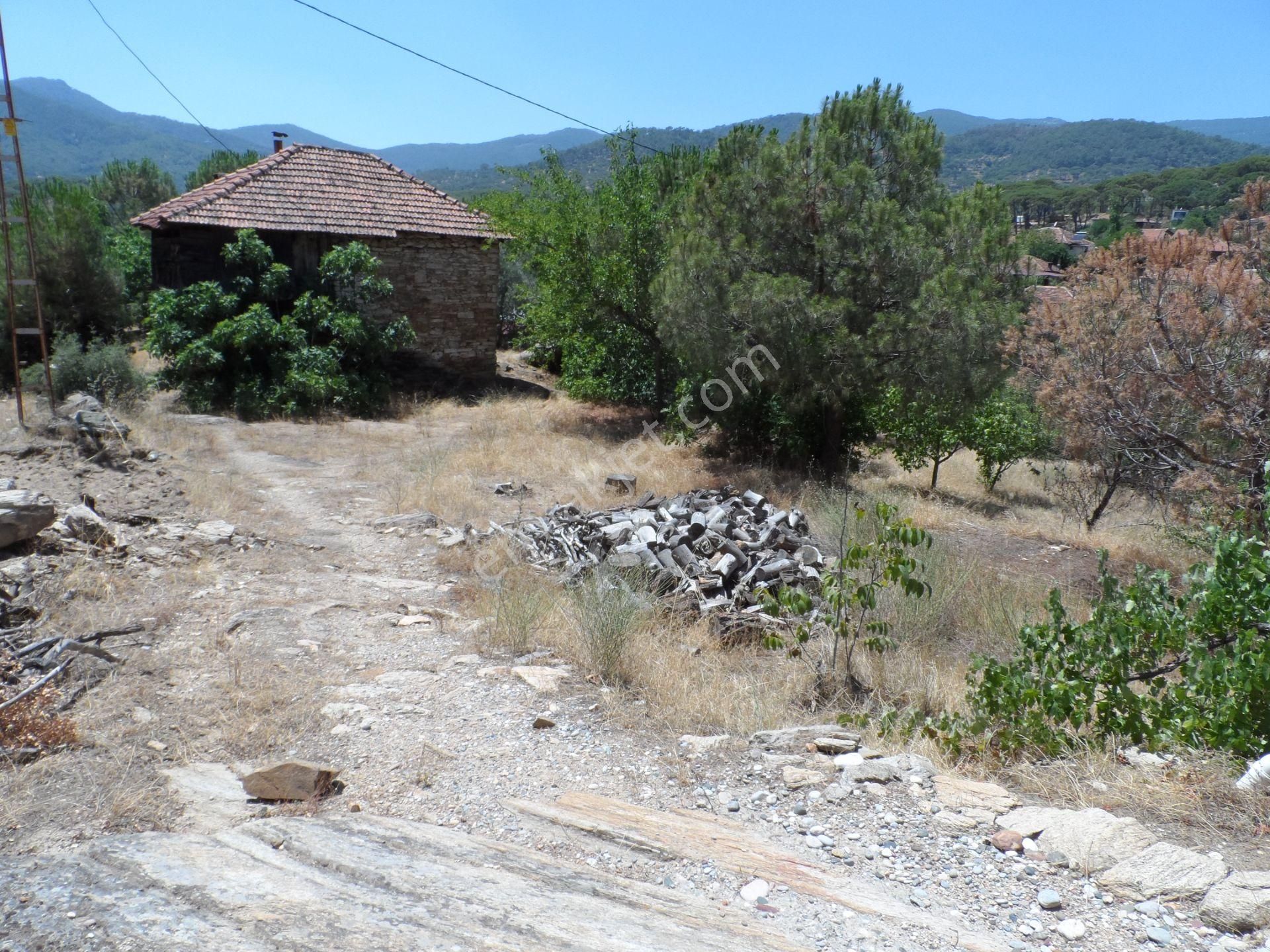 Nazilli Ege Emlak Ofisinden Bozdoğan Altıntaş Mah. Satılık Köy Evi Ve Arsa - Görsel 32