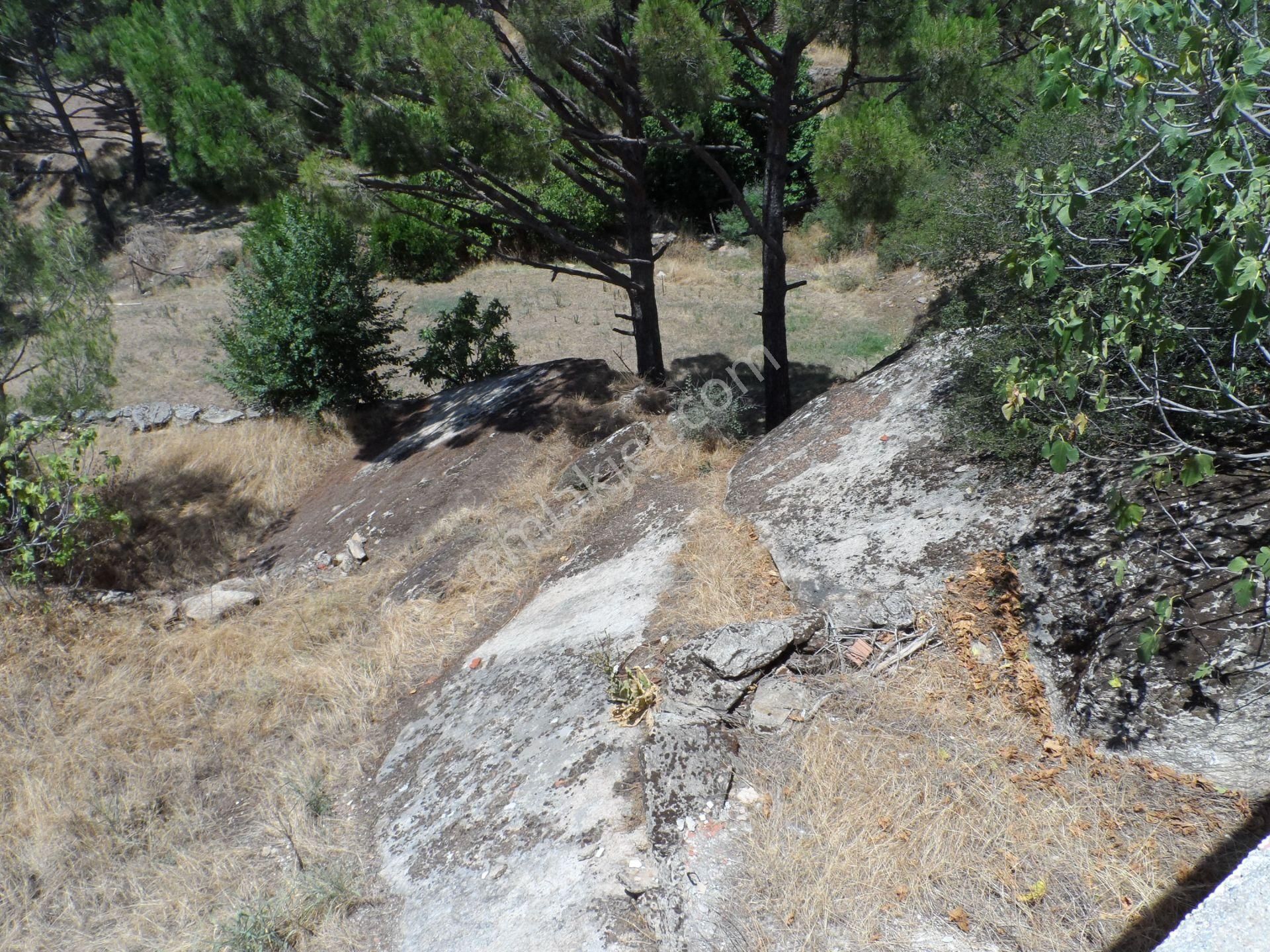 Nazilli Ege Emlak Ofisinden Bozdoğan Altıntaş Mah. Satılık Köy Evi Ve Arsa - Görsel 22