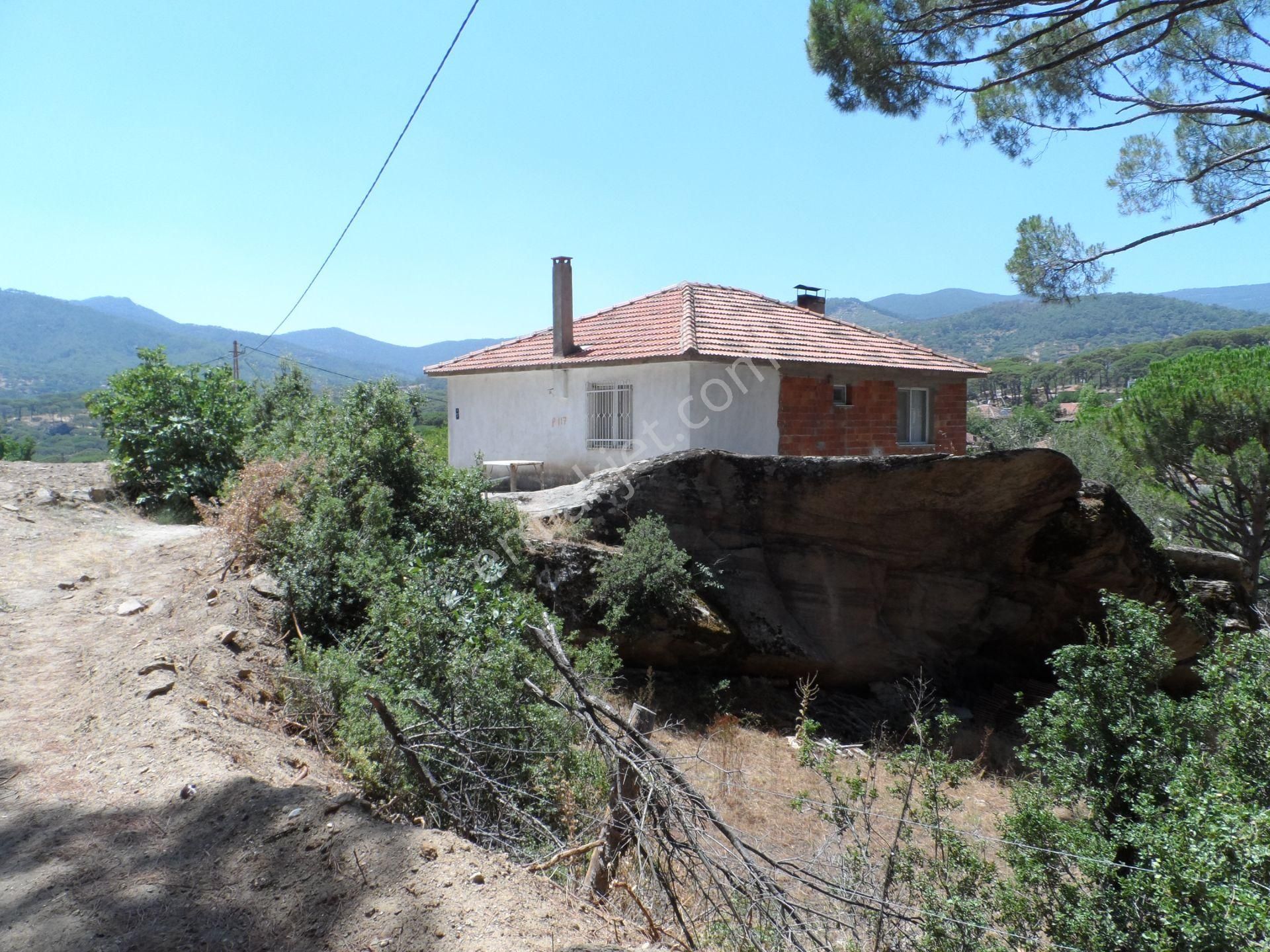 Nazilli Ege Emlak Ofisinden Bozdoğan Altıntaş Mah. Satılık Köy Evi Ve Arsa - Görsel 2