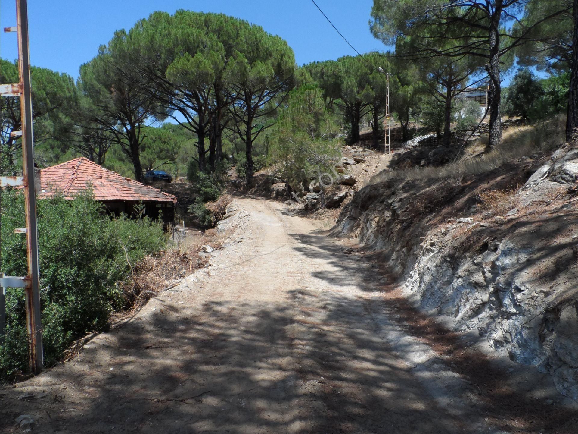 Nazilli Ege Emlak Ofisinden Bozdoğan Altıntaş Mah. Satılık Köy Evi Ve Arsa - Görsel 35