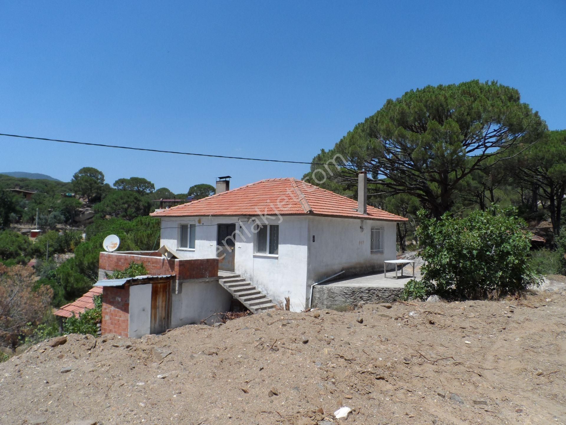 Nazilli Ege Emlak Ofisinden Bozdoğan Altıntaş Mah. Satılık Köy Evi Ve Arsa - Görsel 6