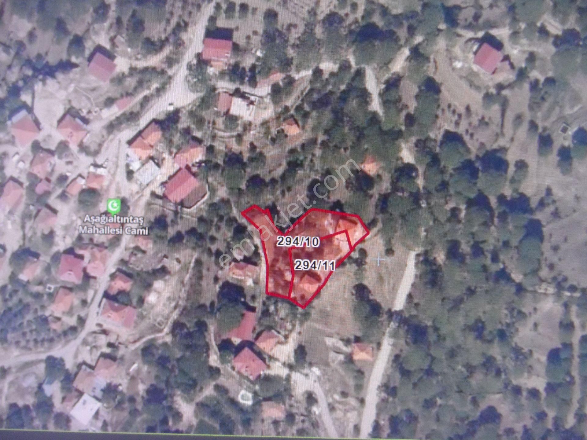 Nazilli Ege Emlak Ofisinden Bozdoğan Altıntaş Mah. Satılık Köy Evi Ve Arsa - Görsel 4