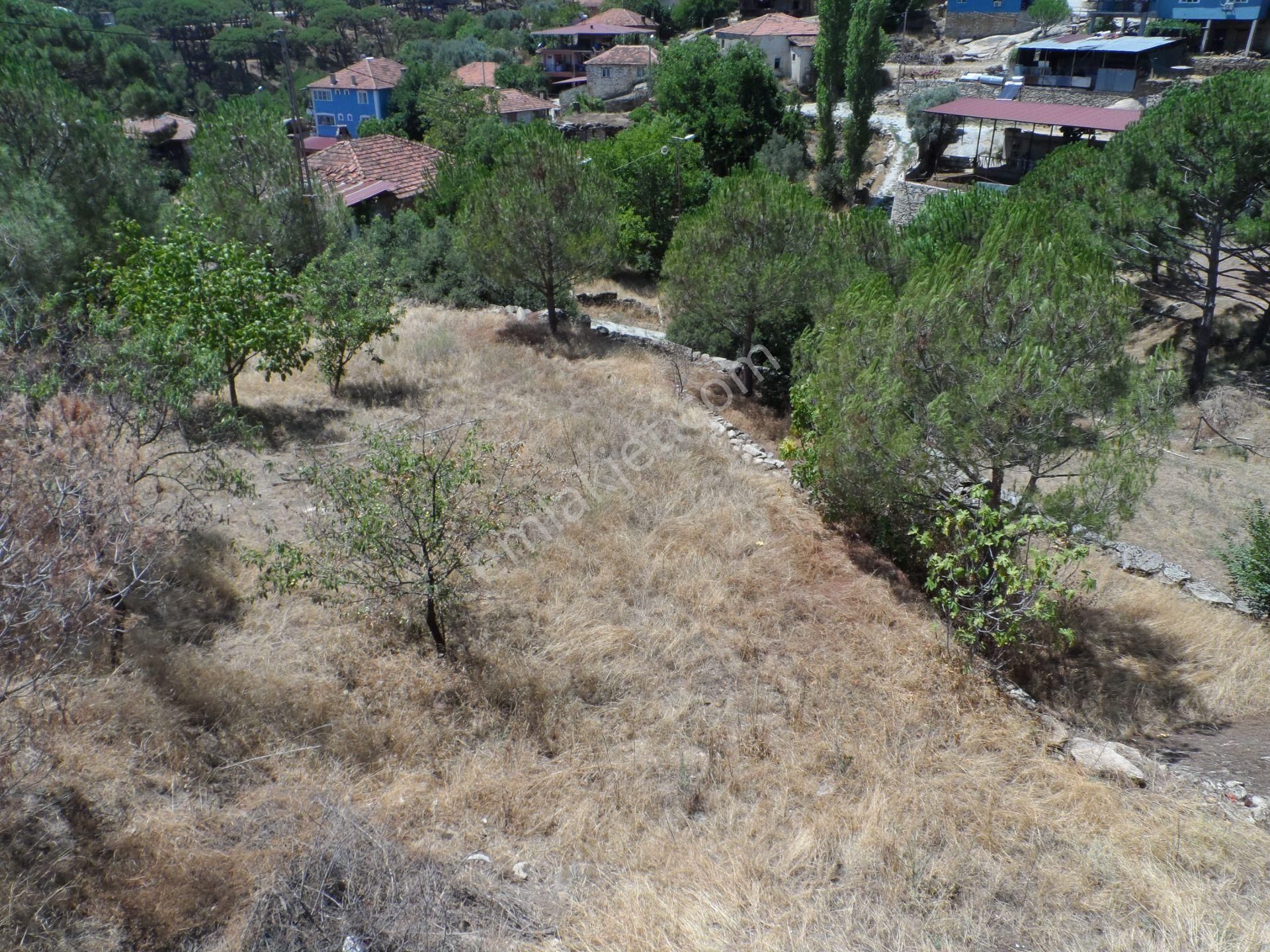 Nazilli Ege Emlak Ofisinden Bozdoğan Altıntaş Mah. Satılık Köy Evi Ve Arsa - Görsel 23