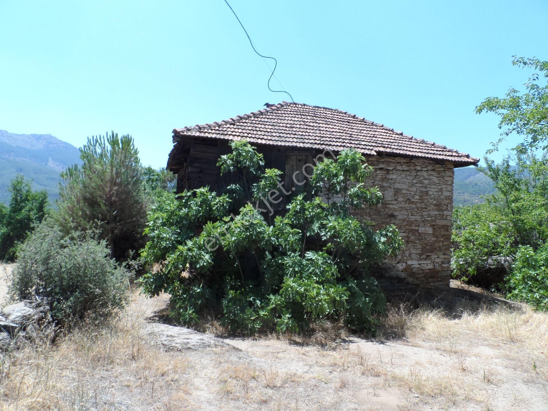 Nazilli Ege Emlak Ofisinden Bozdoğan Altıntaş Mah. Satılık Köy Evi Ve Arsa - Görsel 18