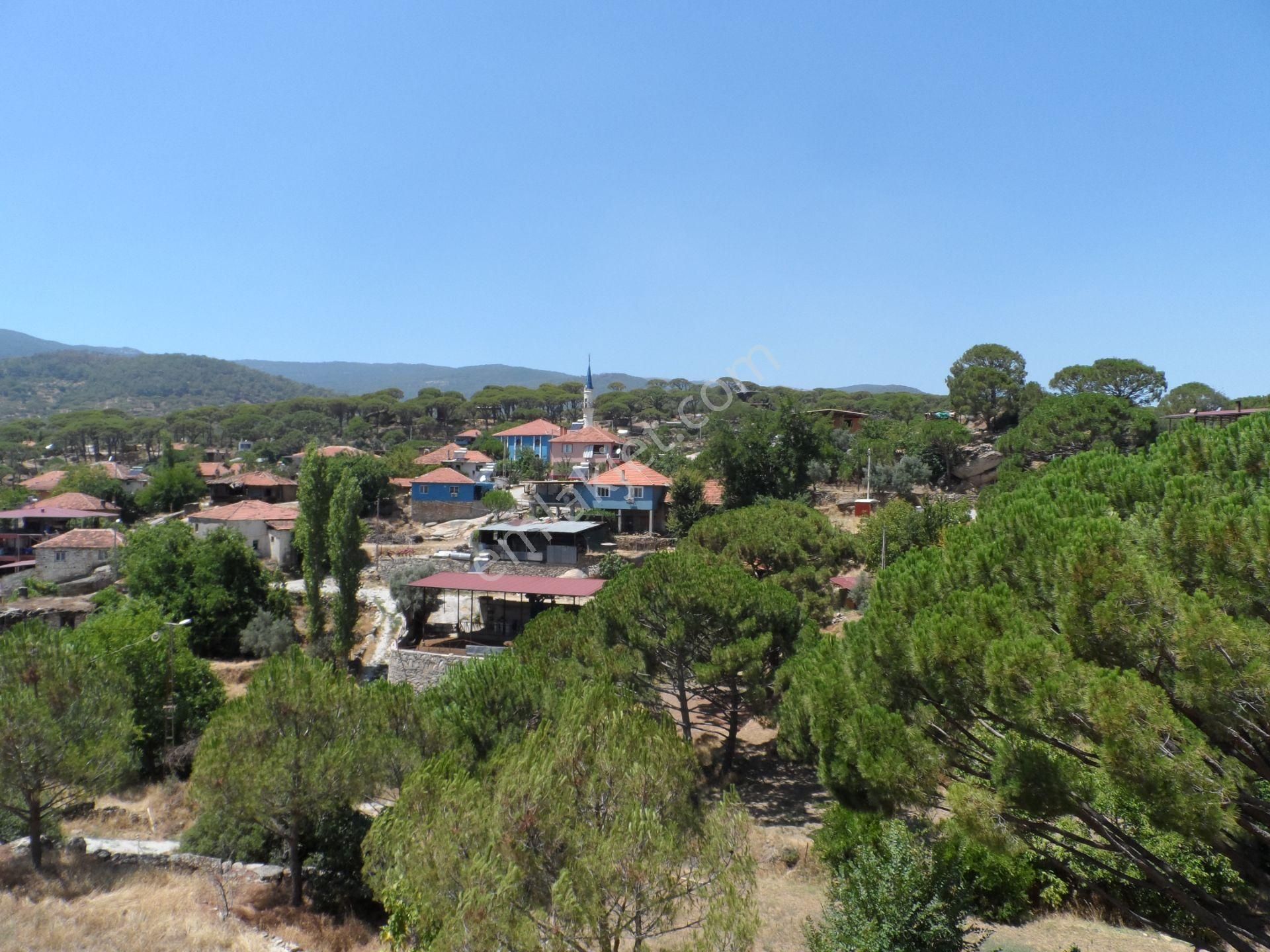 Nazilli Ege Emlak Ofisinden Bozdoğan Altıntaş Mah. Satılık Köy Evi Ve Arsa - Görsel 20
